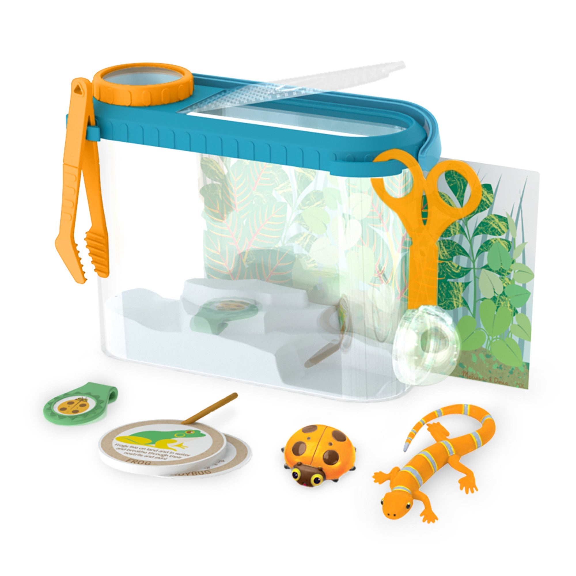 Let’s  Explore Terrarium Observations Play Set