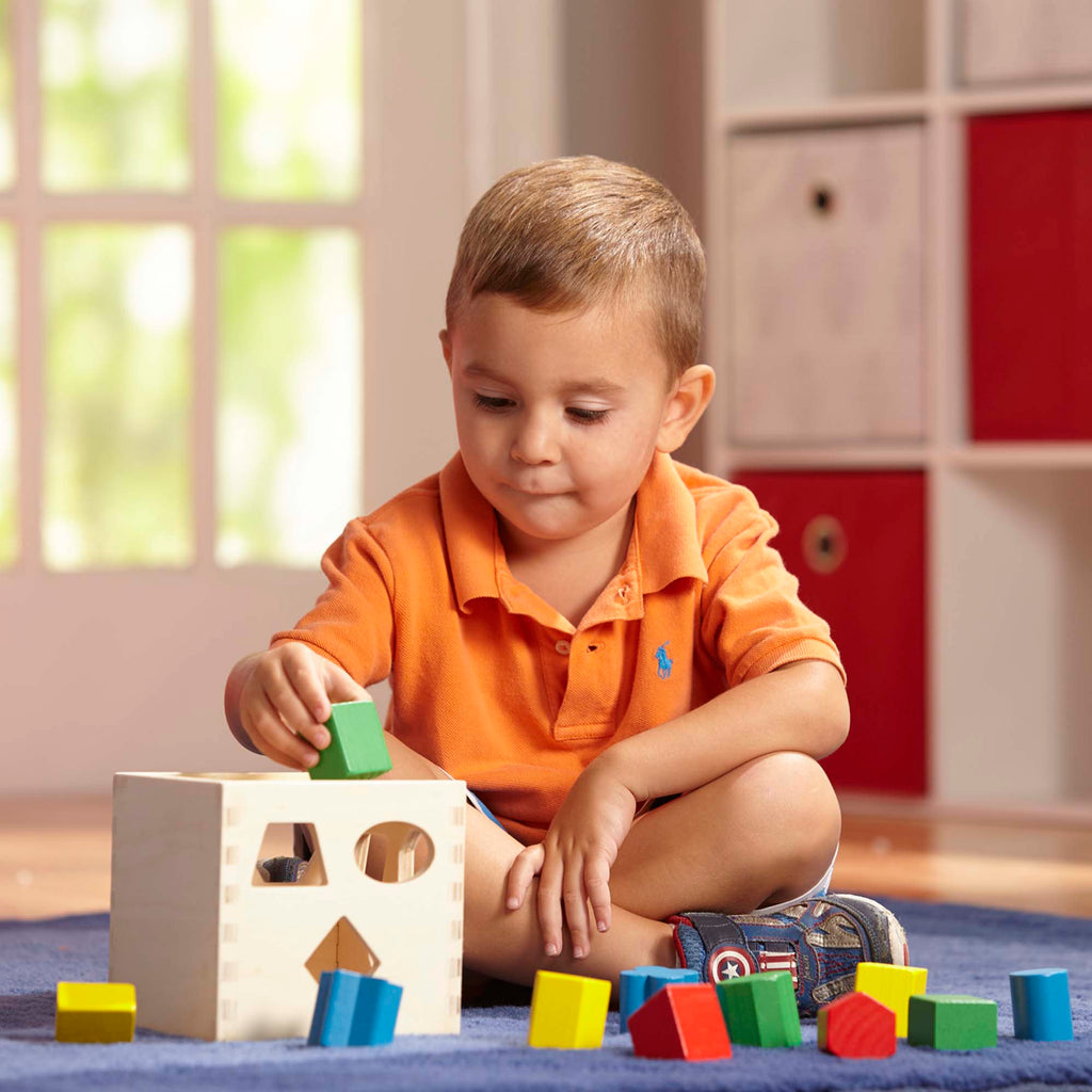 Classic Rainbow Learning Toys