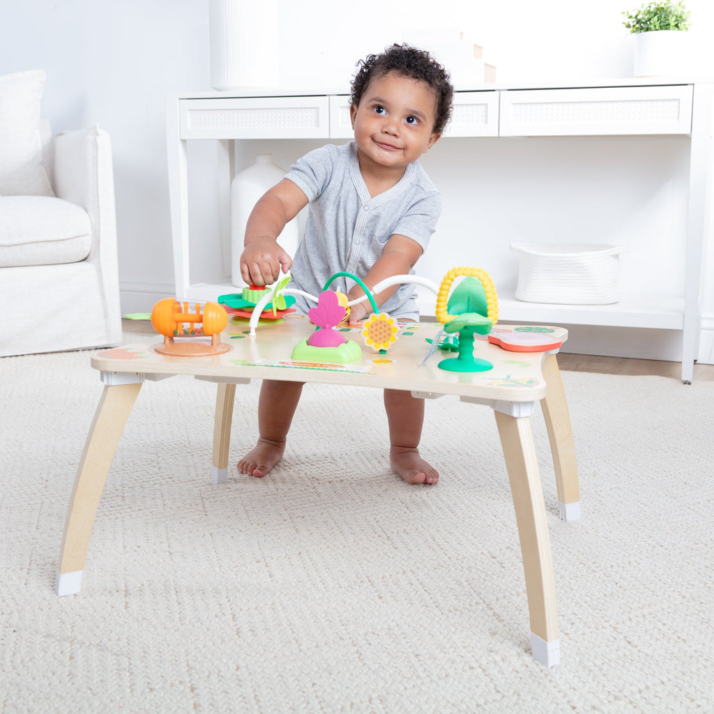 Farmers Market 3 in 1 Activity Center