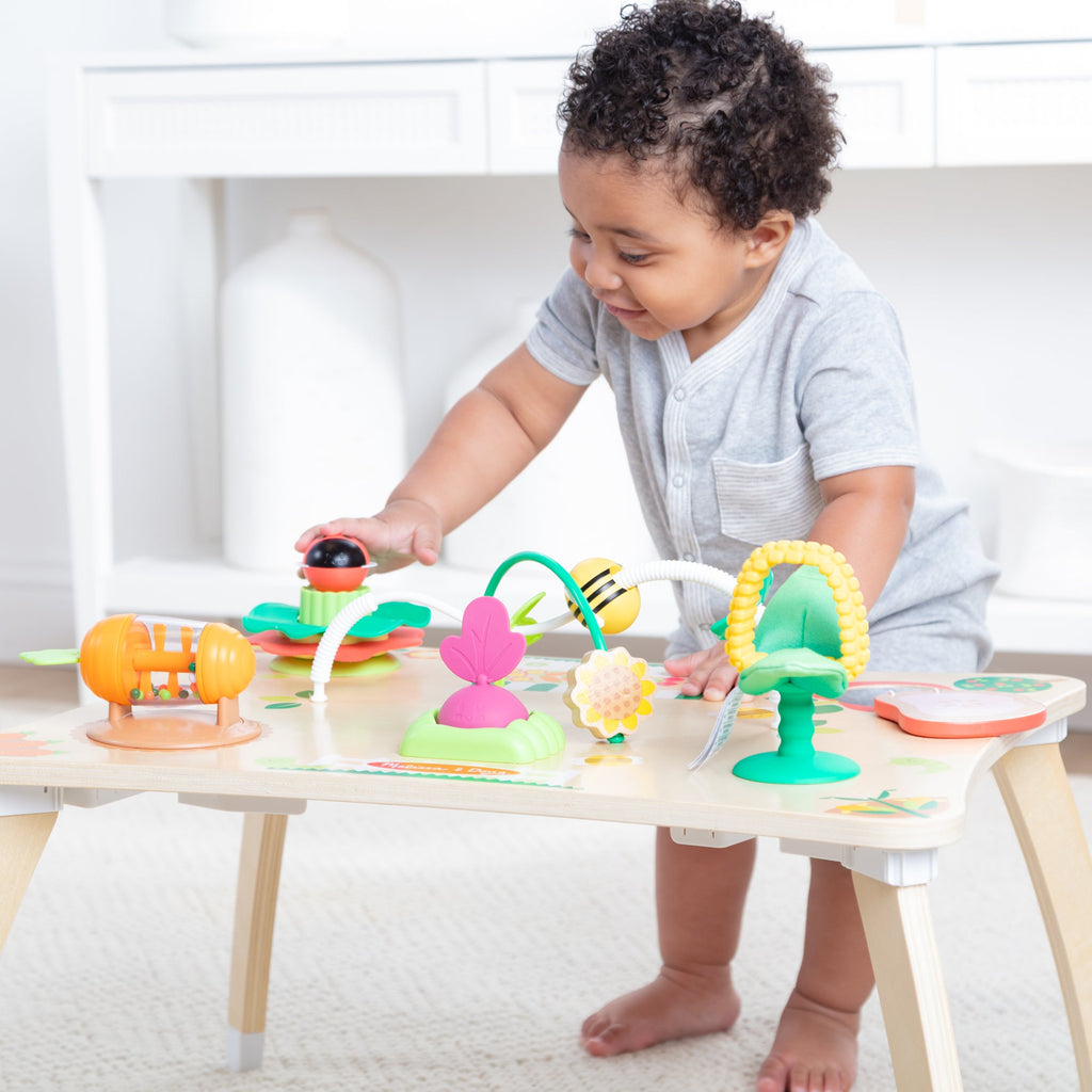 Farmers Market 3 in 1 Activity Center