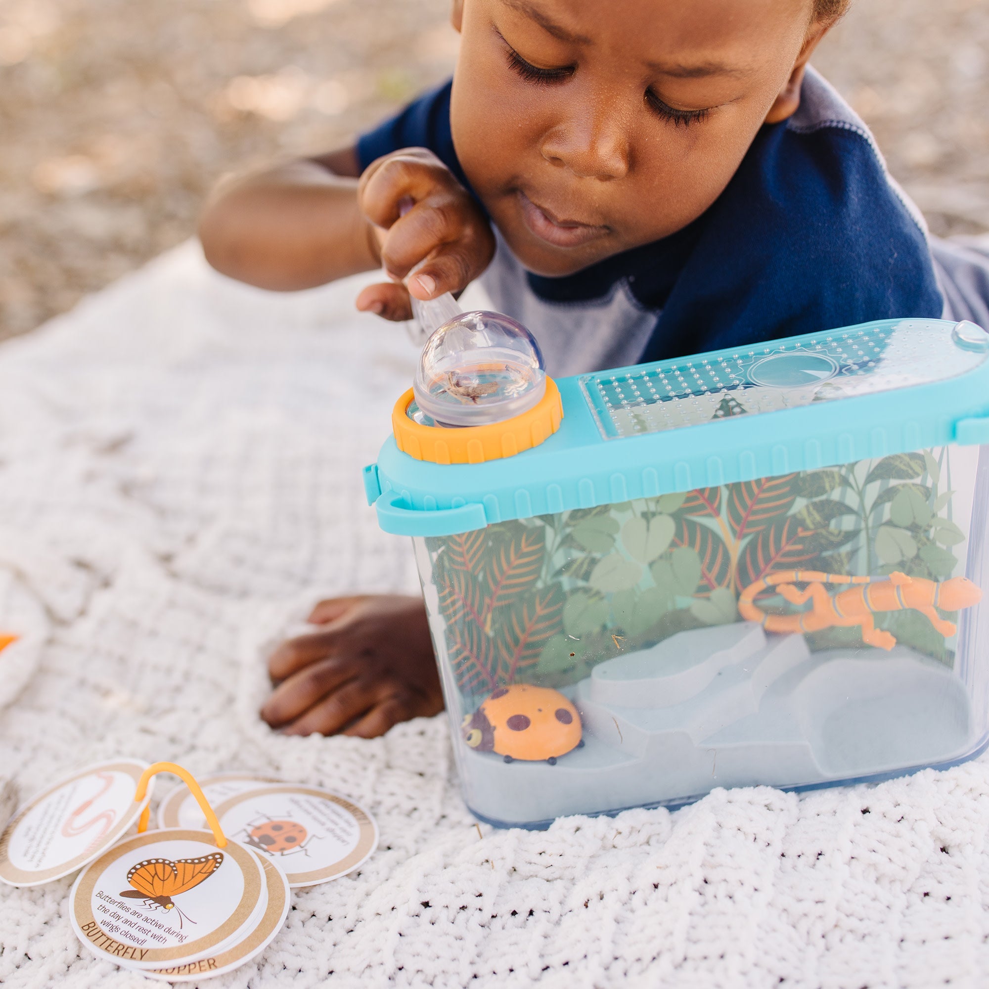 Let’s  Explore Terrarium Observations Play Set