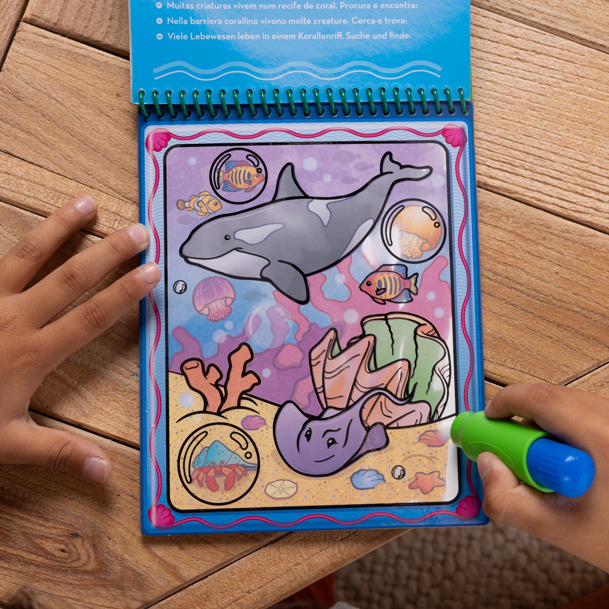 Water WOW! 6-Pack – Animals, Vehicles, Alphabet, Numbers, Safari, Under the Sea