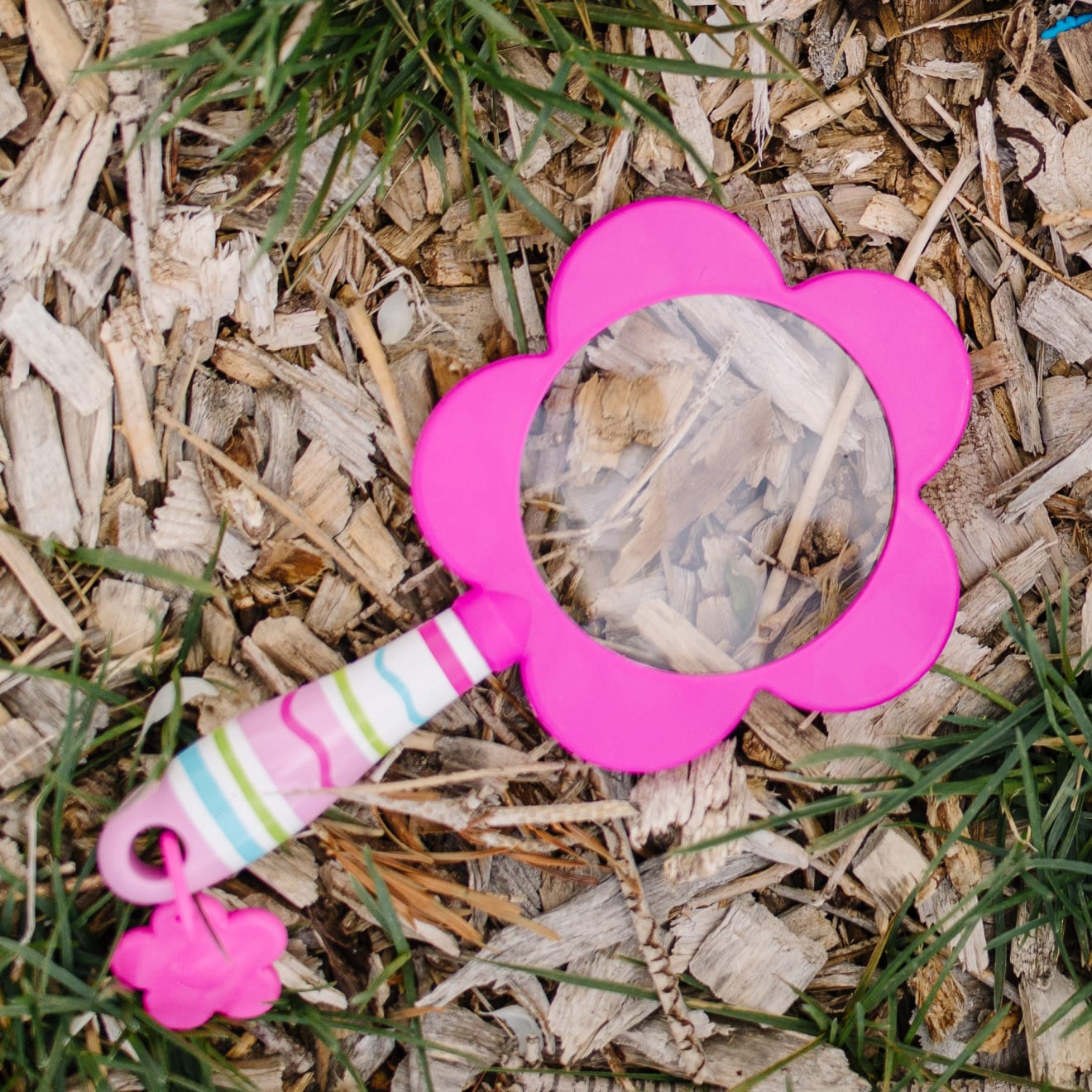 Pretty Petals Magnifier