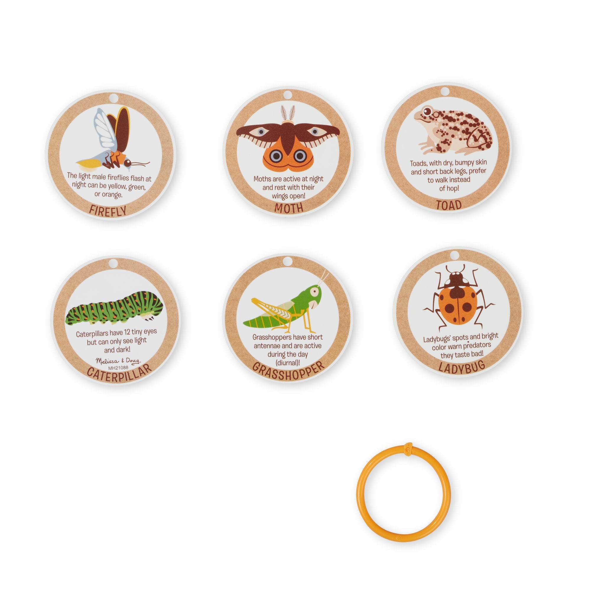 Let’s  Explore Terrarium Observations Play Set
