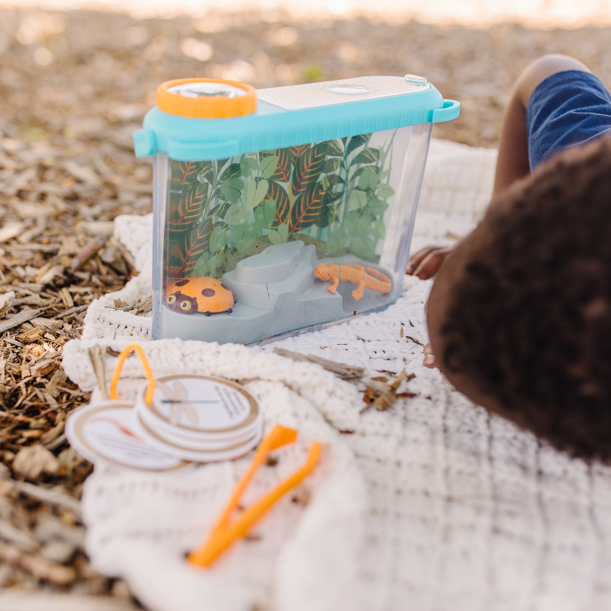 Let’s  Explore Terrarium Observations Play Set